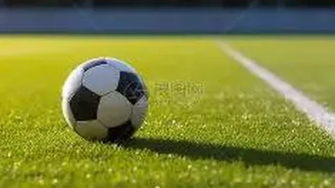 广东东阳光男篮延续连胜，险胜北京控股男篮99-98