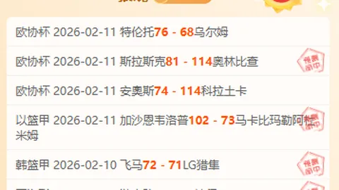 “费耶诺德教练：击败圣西罗之敌米兰，此荣耀属于你。”